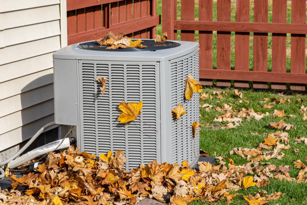 Best Thermostats and Smart Controls in Albert Lea, MN